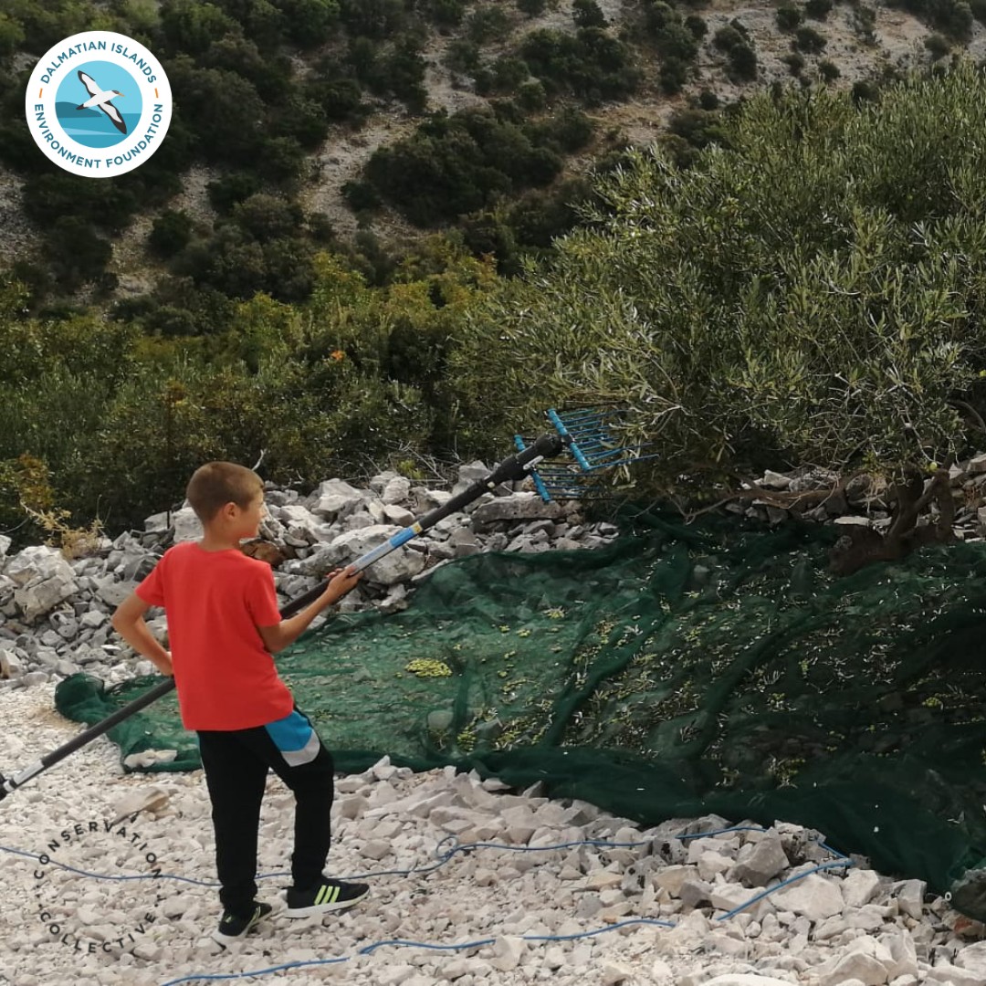 Marine Litter Free Dalmatian Island projekt