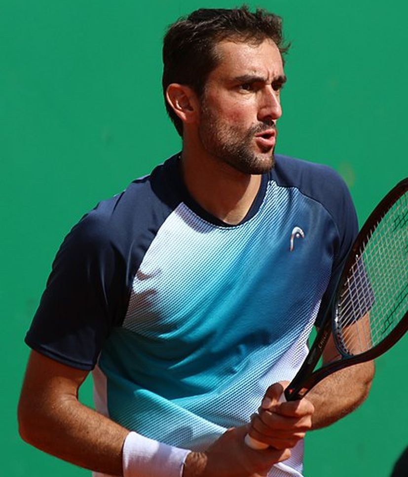 marin cilic french open čtvrtfinále