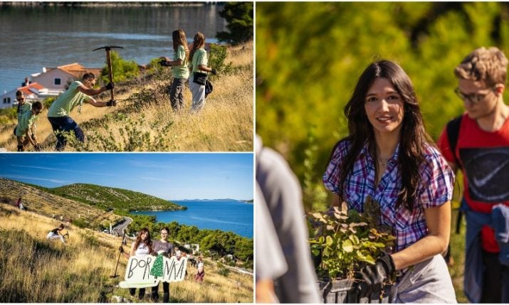 Stovky studentů zalesňují požárem zničenou oblast v Grebaštici u Šibeniku